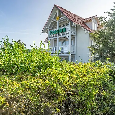 Guest house Pension Bergen 3*